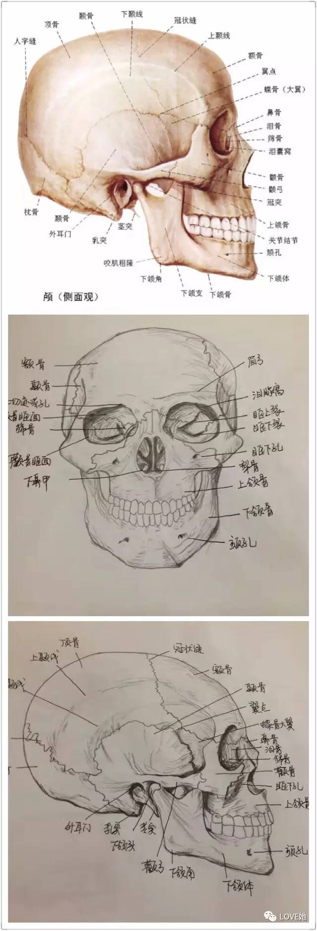 【ayx官网】大约在冬季是什么小说改编的？什么时候上映？