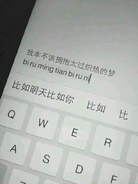 爱游戏（ayx）中国官方网站-中国畜牧业协会禽业分会赴欧洲家禽生产技术考察行程一览